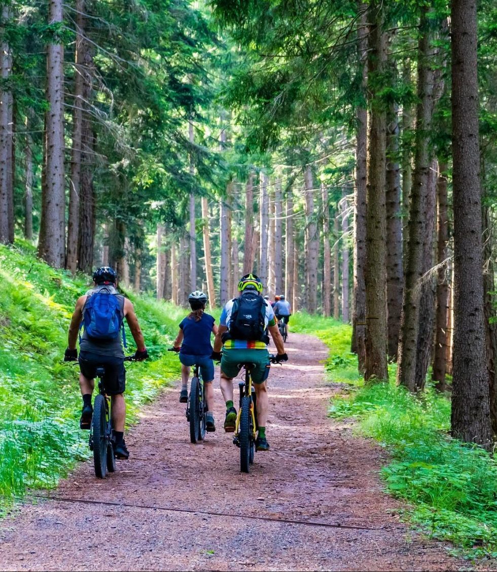 Mountainbike Ausfahrt im Wald